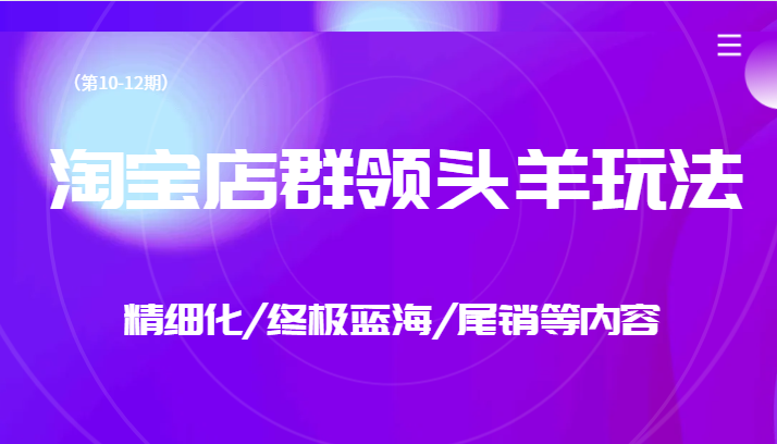 淘宝店群领头羊玩法，精细化/终极蓝海/尾销等内容（第10-12期）-学帮帮