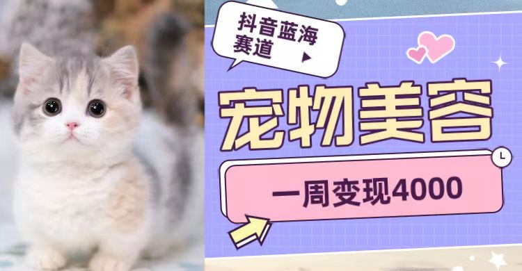 抖音蓝海赛道，宠物美容，一周变现4000-学帮帮