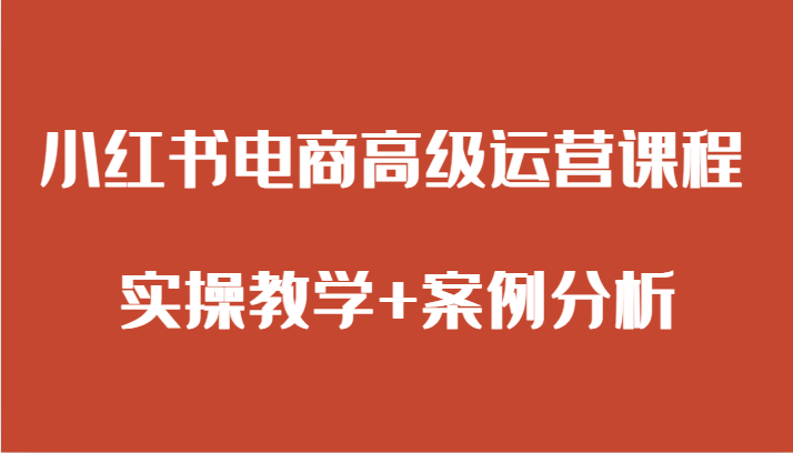 小红书电商高级运营课程 实操教学+案例分析-学帮帮