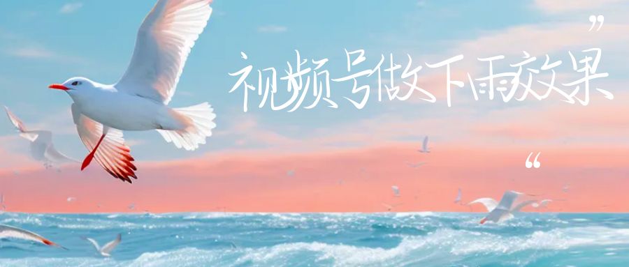 视频号做下雨视频，一个账号一周涨粉10W+，日入1000+附保姆级教程-学帮帮