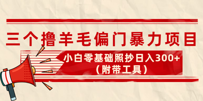 （4110期）外面卖998的三个撸羊毛偏门暴力项目，小白零基础照抄日入300+（附带工具）-学帮帮