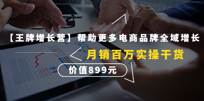 （4264期）【王牌增长营】帮助更多电商品牌全域增长，月销百万实操干货，价值899元-学帮帮