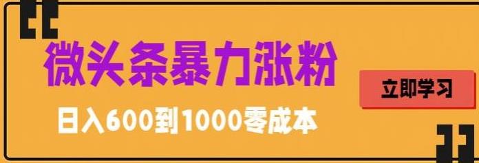 （5950期）微头条暴力涨粉技巧搬运文案就能涨几万粉丝，简单0成本，日赚600-学帮帮
