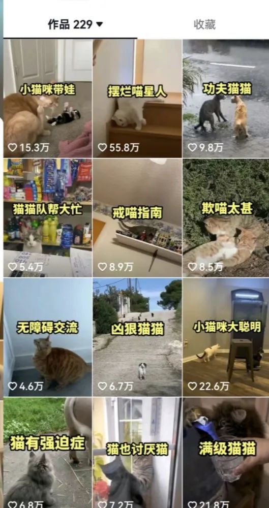 图片[3]-（6568期）拆解：抖音盘点类中视频变现副业项目，视频版一条龙大解析分享给你-学帮帮