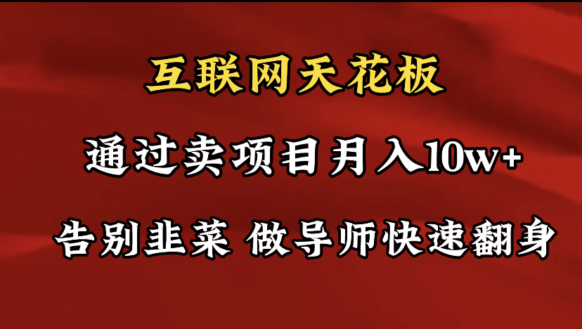 （9201期）导师训练营互联网的天花板，让你告别韭菜，通过卖项目月入10w+，一定要…-学帮帮