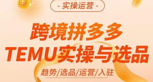 伍跃·跨境拼多多TEMU实操与选品，​趋势/选品/运营/入住（27节完整）-学帮帮