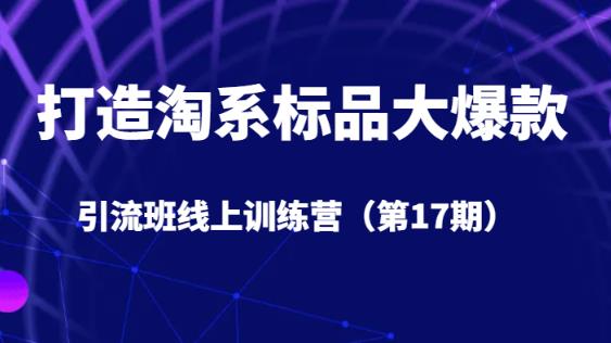 打造淘系标品大爆款引流班线上训练营（第17期）5天直播授课-学帮帮