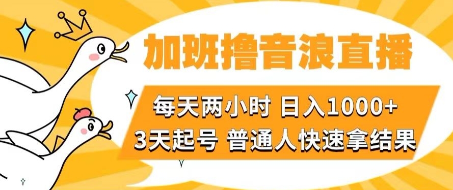 加班撸音浪直播，每天两小时，日入1000+，直播话术才3句，3天起号，普通人快速拿结果【揭秘】-学帮帮