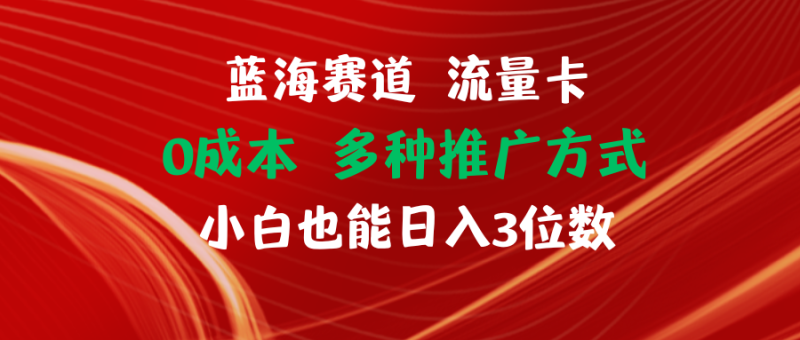（11768期）蓝海赛道 流量卡 0成本 小白也能日入三位数-学帮帮