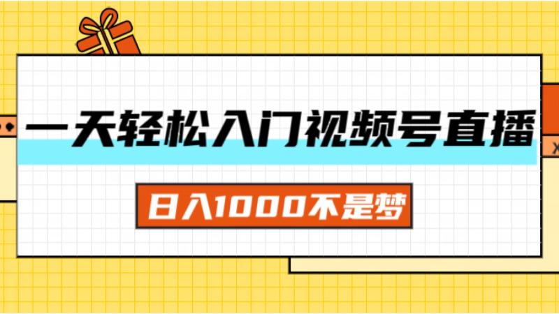 （11906期）一天入门视频号直播带货，日入1000不是梦-学帮帮