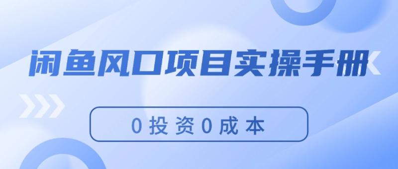 （11923期）闲鱼风口项目实操手册，0投资0成本，让你做到，月入过万，新手可做-学帮帮